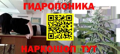 метадон Гай