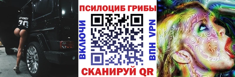 Псилоцибиновые грибы Psilocybine cubensis  Новокубанск 
