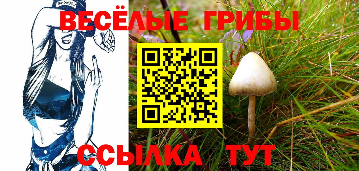 Галлюциногенные грибы Psilocybine cubensis  Вход с VPN  Новокубанск  Галлюциногенные грибы Psilocybe 
