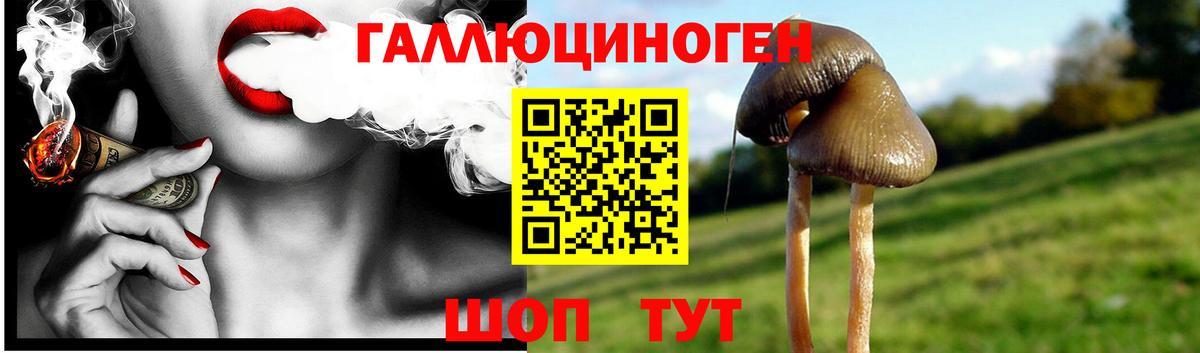 Галлюциногенные грибы Cubensis  Новокубанск 